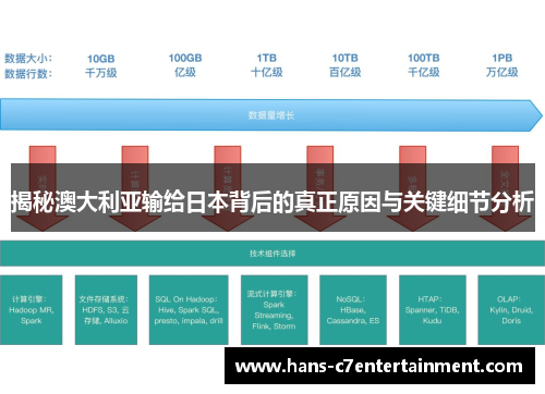 揭秘澳大利亚输给日本背后的真正原因与关键细节分析