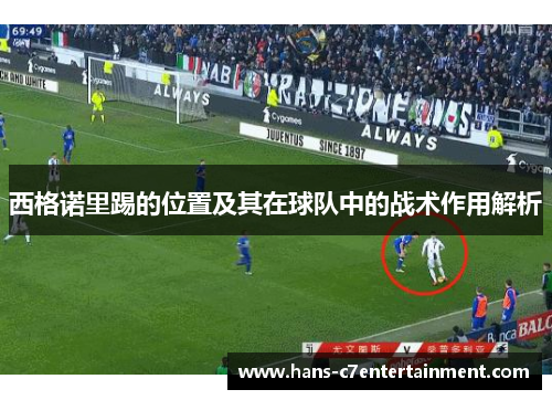 西格诺里踢的位置及其在球队中的战术作用解析