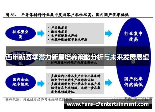 西甲新赛季潜力新星培养策略分析与未来发展展望 西甲新赛季潜力新星培养策略分析与未来发展展望