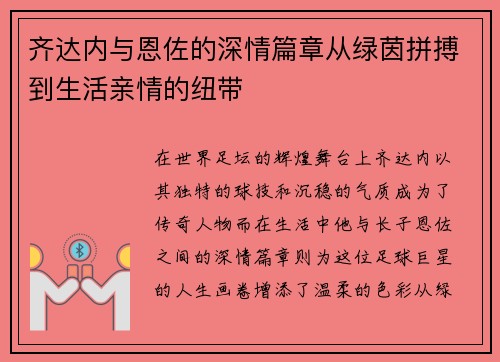 齐达内与恩佐的深情篇章从绿茵拼搏到生活亲情的纽带
